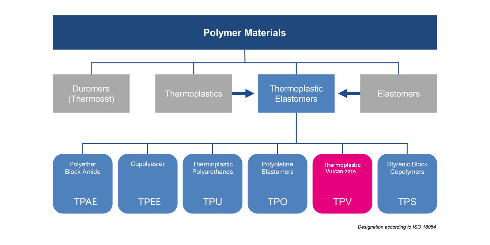 1703573572.png 8705da51bcdcc9812fd4a2ffecee3f10_tpven.png